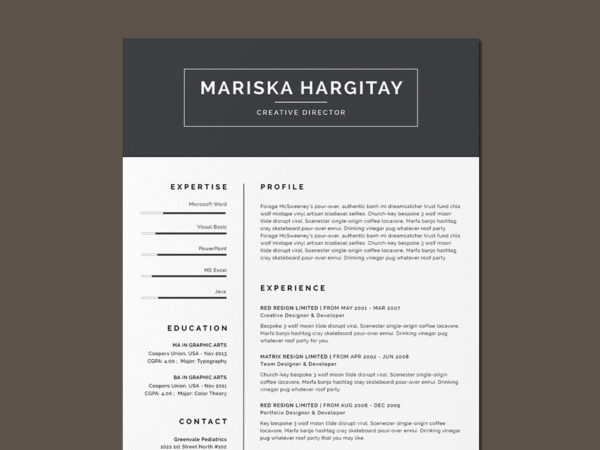 Free High End Resume Template with Clean Design