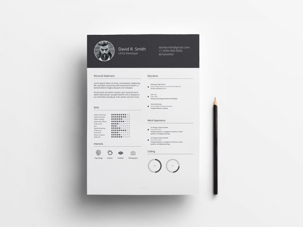 Free Infographic Resume with Simple Style Design