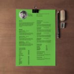 Simple Elegant Resume