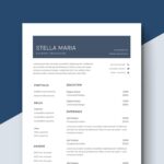 Payment Processor Resume