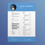 Accounts Manager Resume