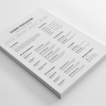 Web Designer Resume