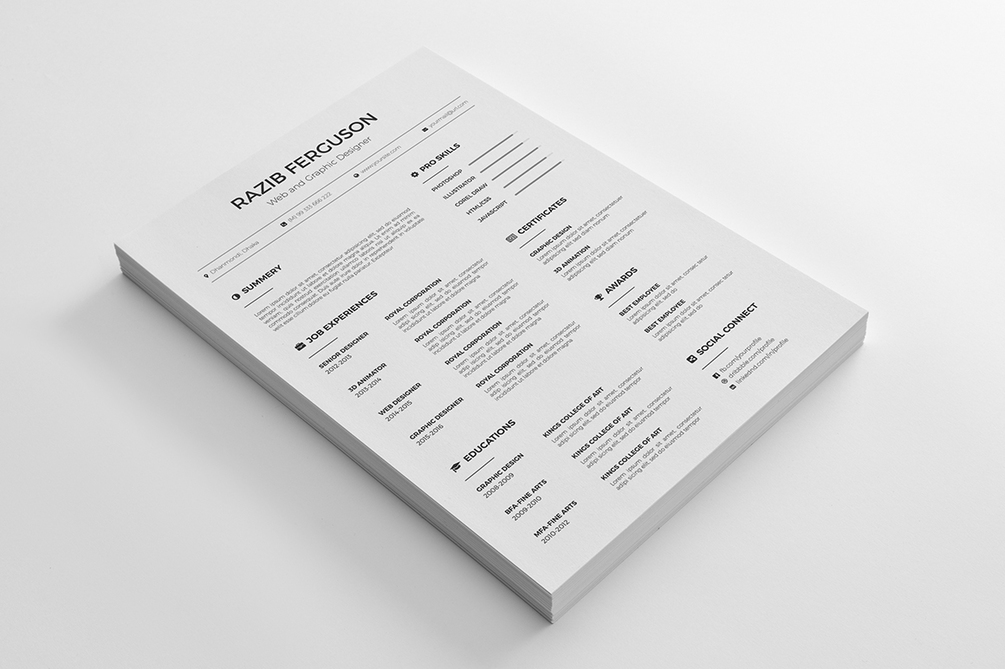 Free Web Designer Resume