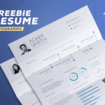 Beautiful Infographic Resume