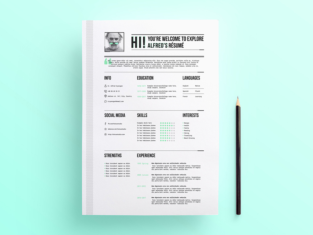 Free Professional Looking Resume Template