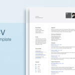 Simple Clean Resume