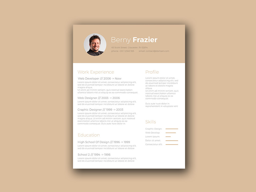 Free Brown Themed Resume Template