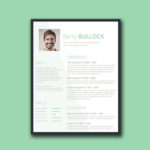 Conservative Resume Template