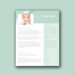 Sales Resume Template