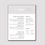 Gray and White Resume