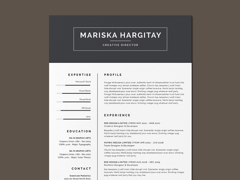 Free High End Resume Template with Clean Design