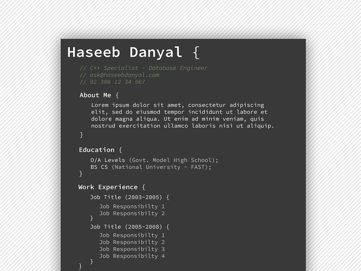Free Resume Template for Progammer and Developer