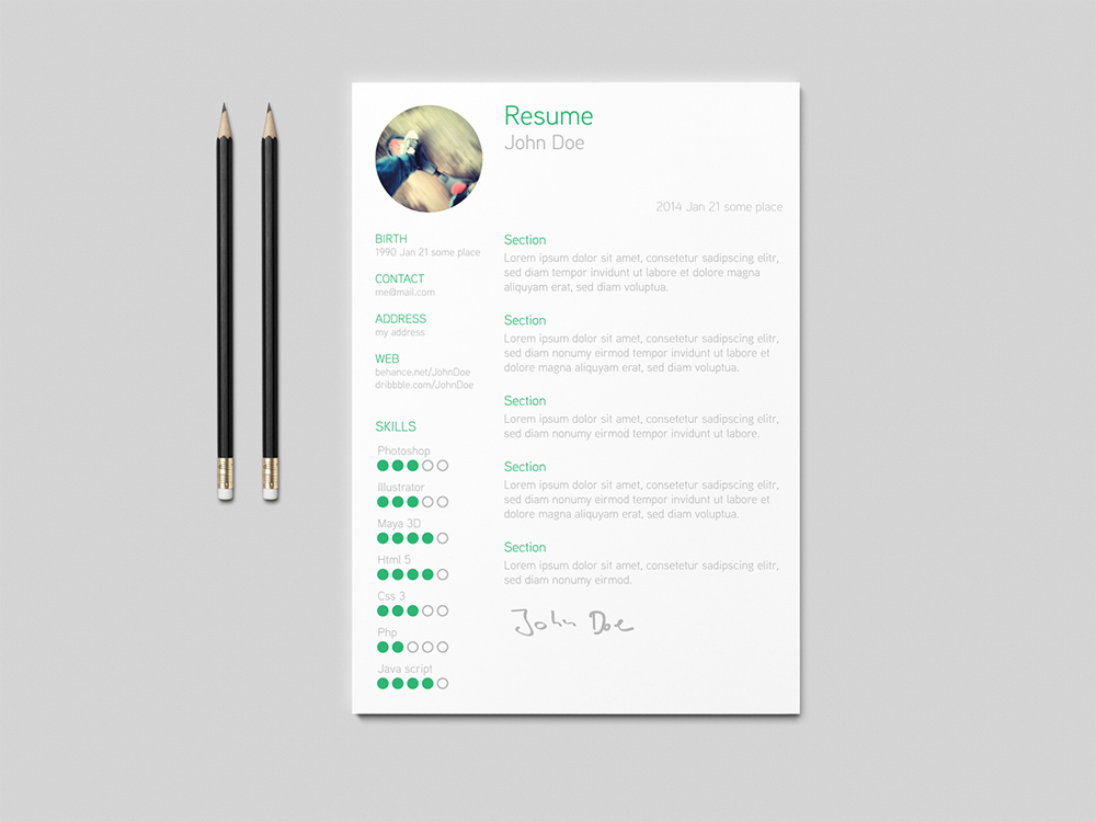 Roedaer Resume - Free Simple and Clean Resume Template