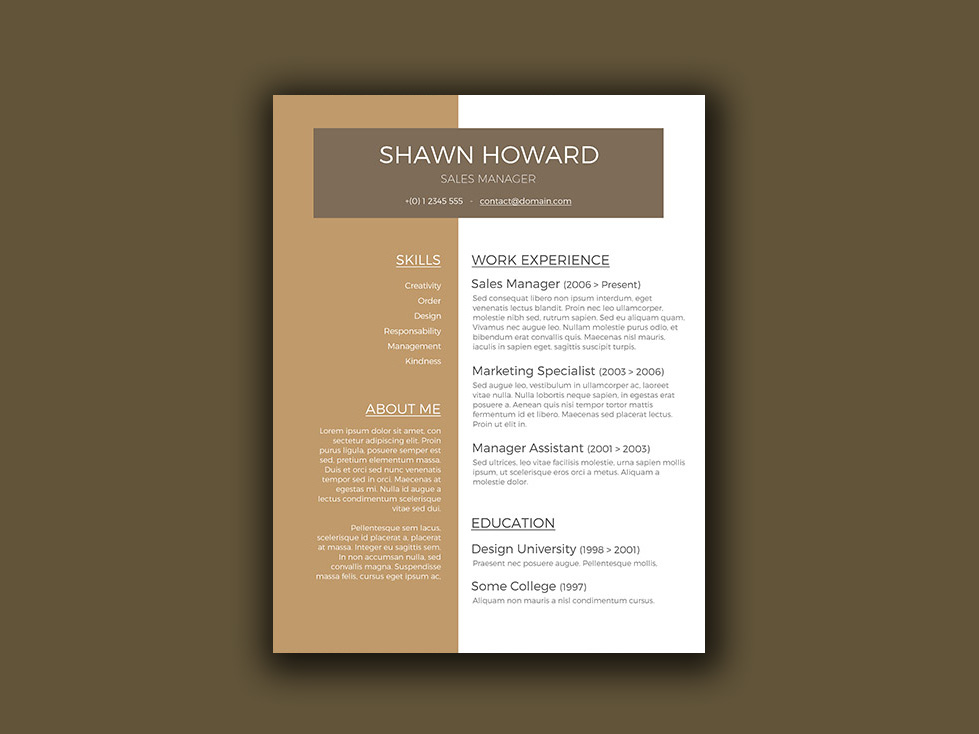 Free Creative Resume Template for Sales Manager Resume