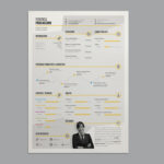 Stylish Infographic Resume