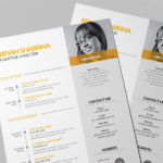 Yellow Vector Resume