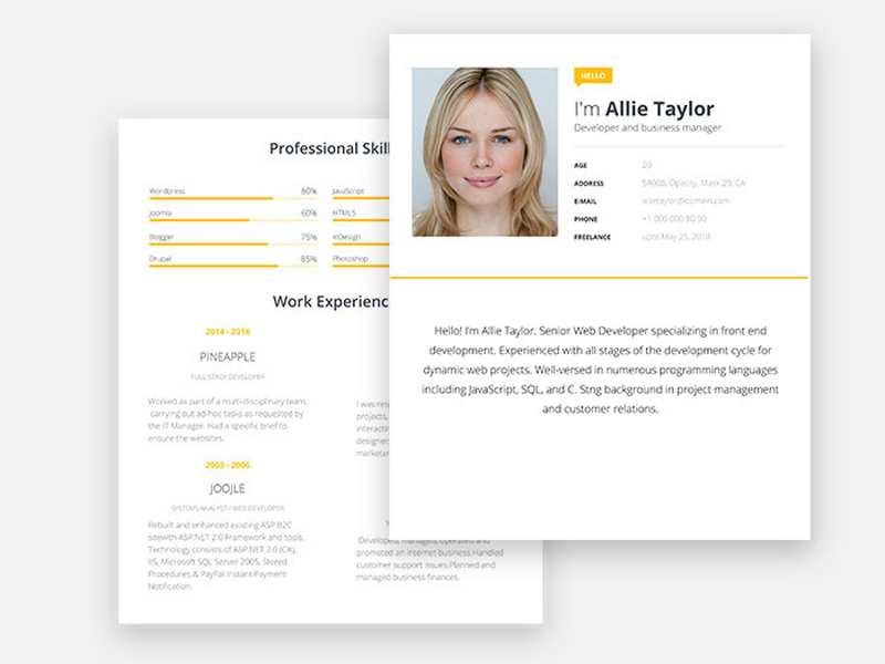 Free Word Resume Template With Modern Look