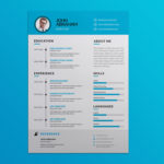 Blue Vector Resume