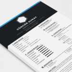 Sunay Resume Template