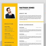 Assure Resume Template