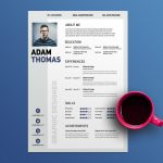 Clean Elegant Resume