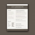 Conservative CV Template