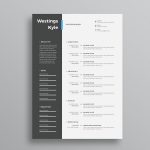 Kyle Resume Template