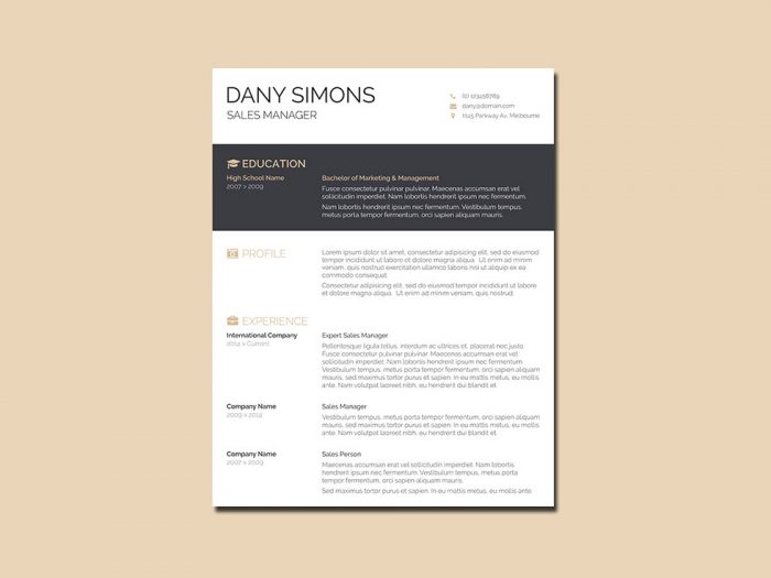 Free Salesman Resume Template with Simple Design
