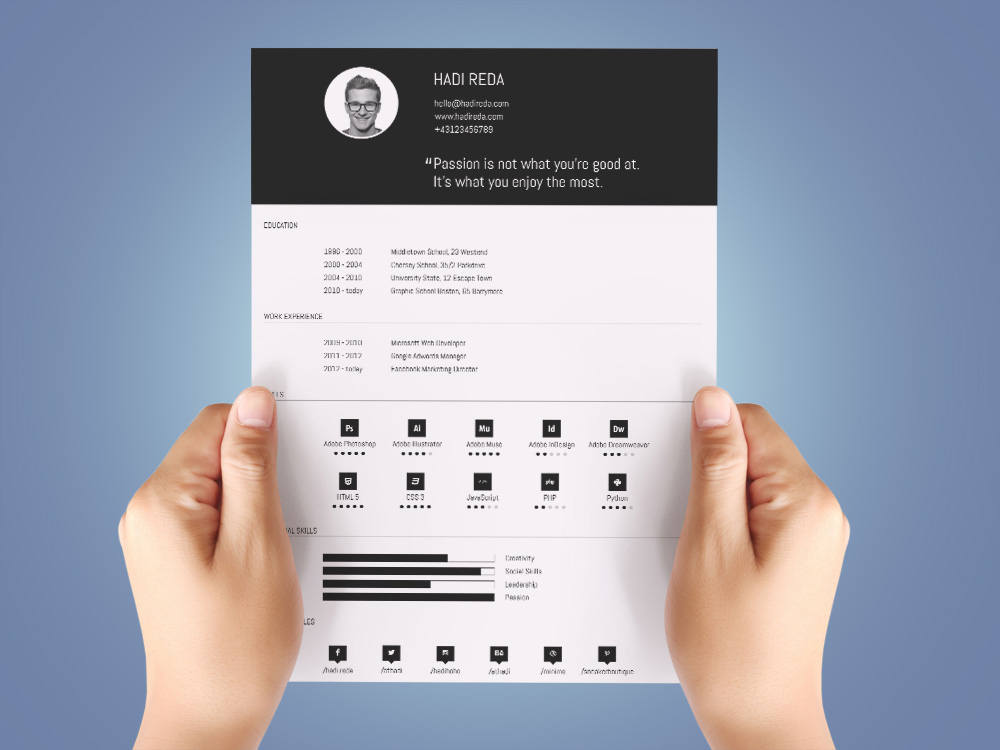 Free Simple Resume Template with Infographic Style