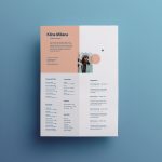 Split Style Resume