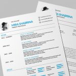 Modern Simple Resume