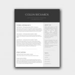 Modern and Trendy CV