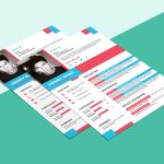 Flat Chic Resume