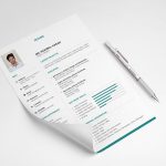 Clean Neat Resume