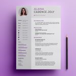 Clean Professional Resume