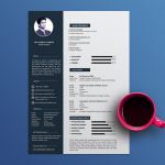 Cool Elegant Resume