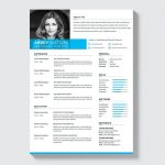 Formal Clean Resume