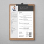 Silly CV Template