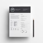 Simple Infographic Resume