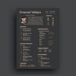 Starter Resume Template