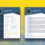 Infographic CV Template