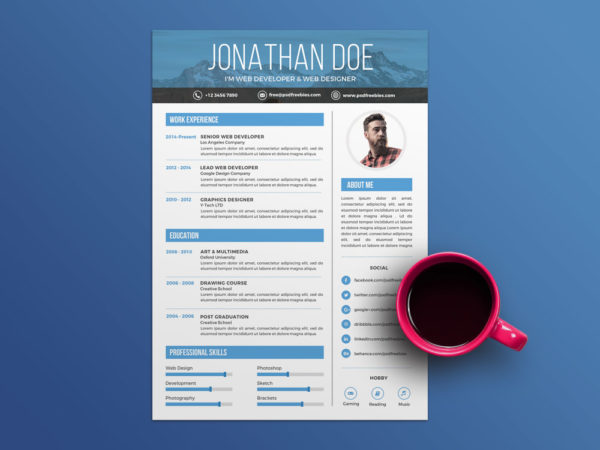 Free Creative Professional CV Template for Job Seeker