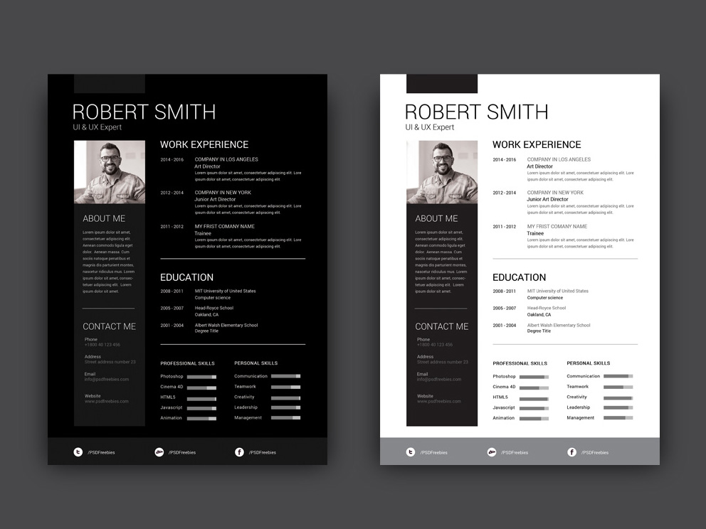 Free Resume Template with Dark and Light Color Scheme