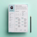 Snow Resume Template