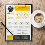 Stylish Infographic CV