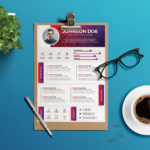 Professional Look Resume