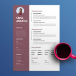 Editable Resume Template