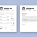 Entrepreneur Resume Template