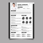 Modern Black White CV