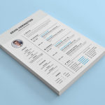 Harington Resume Template